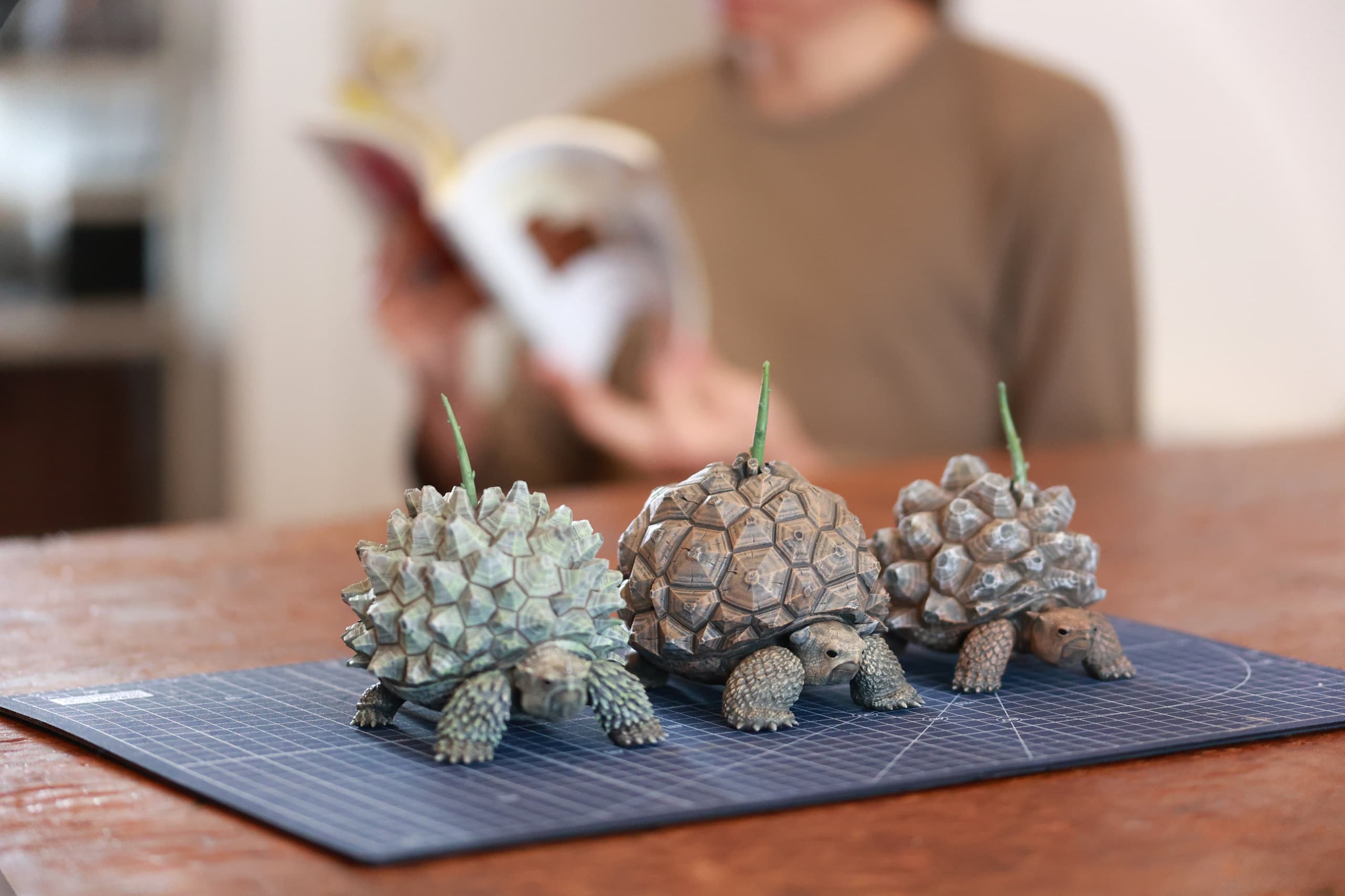 OZWRT Artwork Dioscorea