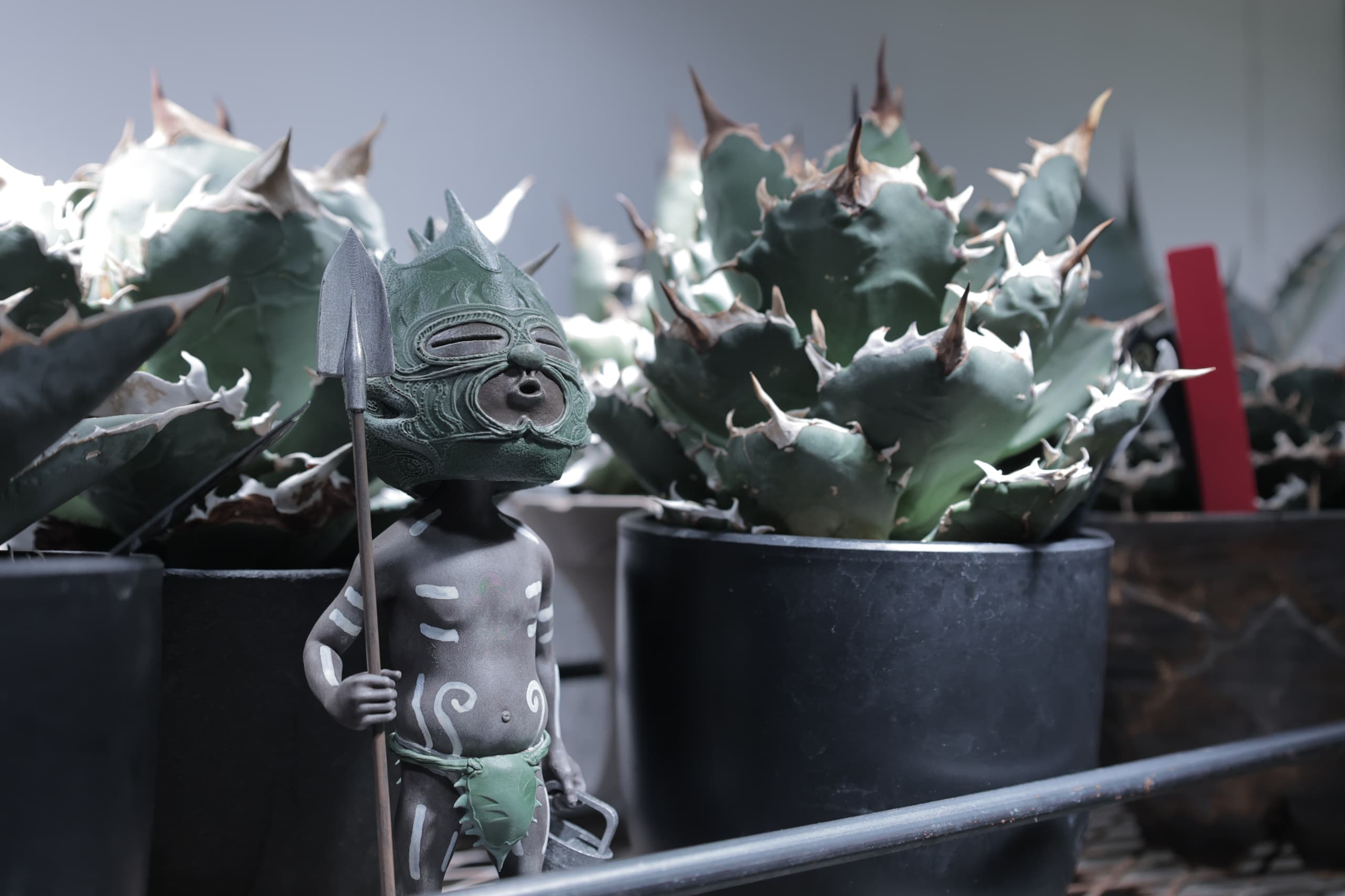 OZWRT Artwork Spirit of Pachypodium